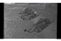 登錄號:KH2002.019.0196藏品圖，第4張