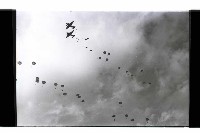 登錄號:KH2002.019.0196藏品圖，第11張