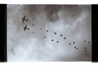 登錄號:KH2002.019.0196藏品圖，第12張