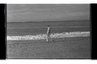 登錄號:KH2002.019.0196藏品圖，第15張