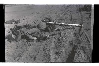 登錄號:KH2002.019.0196藏品圖，第31張