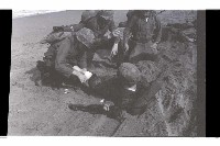 登錄號:KH2002.019.0196藏品圖，第32張