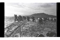 登錄號:KH2002.019.0196藏品圖，第34張