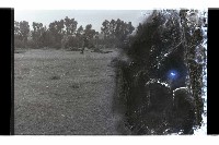 登錄號:KH2002.019.0197藏品圖，第2張