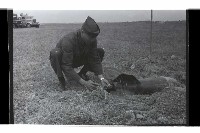 登錄號:KH2002.019.0197藏品圖，第12張