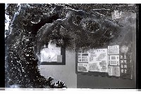 登錄號:KH2002.019.0198藏品圖，第8張