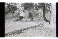 登錄號:KH2002.019.0212藏品圖，第18張