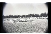 登錄號:KH2002.019.0217藏品圖，第7張