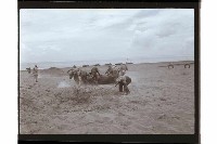 登錄號:KH2002.019.0219藏品圖，第13張