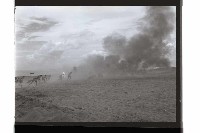 登錄號:KH2002.019.0219藏品圖，第14張