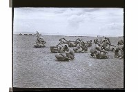 登錄號:KH2002.019.0219藏品圖，第31張