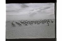 登錄號:KH2002.019.0219藏品圖，第40張