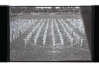 登錄號:KH2002.019.0231藏品圖，第21張