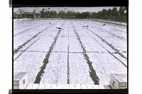 登錄號:KH2002.019.0235藏品圖，第4張