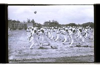 登錄號:KH2002.019.0238藏品圖，第29張