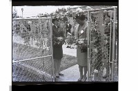 登錄號:KH2002.019.0250藏品圖，第4張