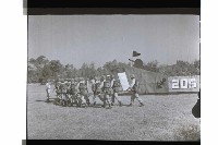 登錄號:KH2002.019.0251藏品圖，第12張