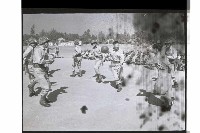 登錄號:KH2002.019.0251藏品圖，第14張