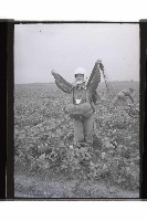 登錄號:KH2002.019.0264藏品圖，第22張