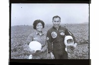 登錄號:KH2002.019.0264藏品圖，第29張