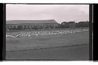 登錄號:KH2002.019.0289藏品圖，第2張