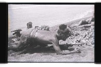 登錄號:KH2002.019.0309藏品圖，第2張