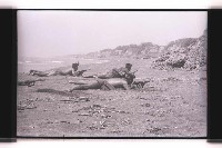 登錄號:KH2002.019.0309藏品圖，第4張