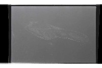 登錄號:KH2002.019.0310藏品圖，第3張