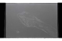 登錄號:KH2002.019.0310藏品圖，第4張