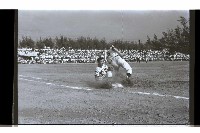 登錄號:KH2002.019.0317藏品圖，第17張