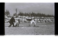 登錄號:KH2002.019.0317藏品圖，第19張