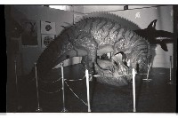 登錄號:KH2002.020.0008藏品圖，第5張