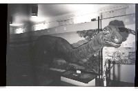 登錄號:KH2002.020.0008藏品圖，第6張