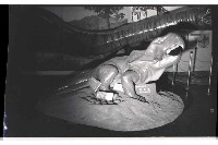 登錄號:KH2002.020.0008藏品圖，第7張