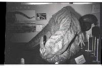 登錄號:KH2002.020.0008藏品圖，第8張