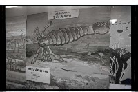 登錄號:KH2002.020.0008藏品圖，第10張