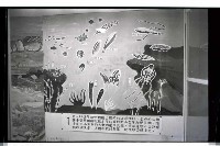 登錄號:KH2002.020.0008藏品圖，第11張