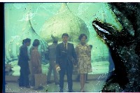 登錄號:KH2002.021.0001藏品圖，第3張