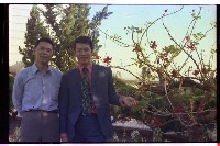 登錄號:KH2002.021.0001藏品圖，第105張