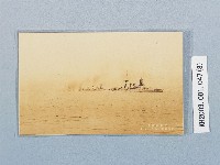 滿洲上悛事變紀念繪葉書及昭和三年大禮特別觀艦式紀念寫真藏品圖，第8張