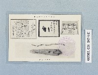 滿洲上悛事變紀念繪葉書及昭和三年大禮特別觀艦式紀念寫真藏品圖，第16張