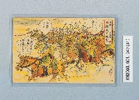 滿洲上悛事變紀念繪葉書及昭和三年大禮特別觀艦式紀念寫真藏品圖，第41張