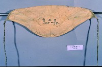 登錄號:KH2003.003.0018藏品圖，第1張