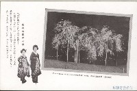 登錄號:KH2003.003.0076藏品圖，第6張