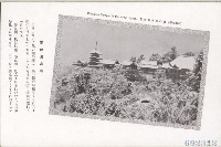 登錄號:KH2003.003.0076藏品圖，第12張