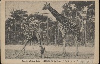 登錄號:KH2003.003.0083藏品圖，第7張