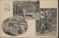 登錄號:KH2003.003.0083藏品圖，第14張