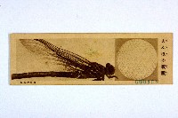 登錄號:KH2003.003.0086藏品圖，第19張