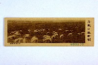 登錄號:KH2003.003.0086藏品圖，第20張