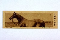 登錄號:KH2003.003.0086藏品圖，第21張